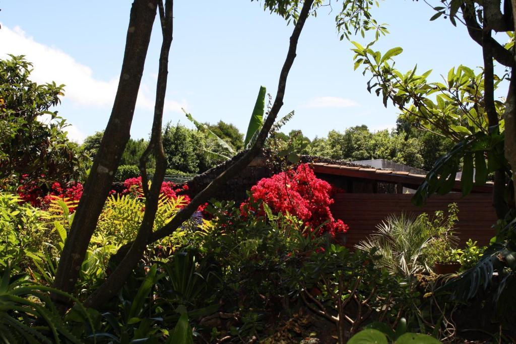 Quinta de São Caetano - São Miguel Açores Populo (Sao Miguel) Exterior foto