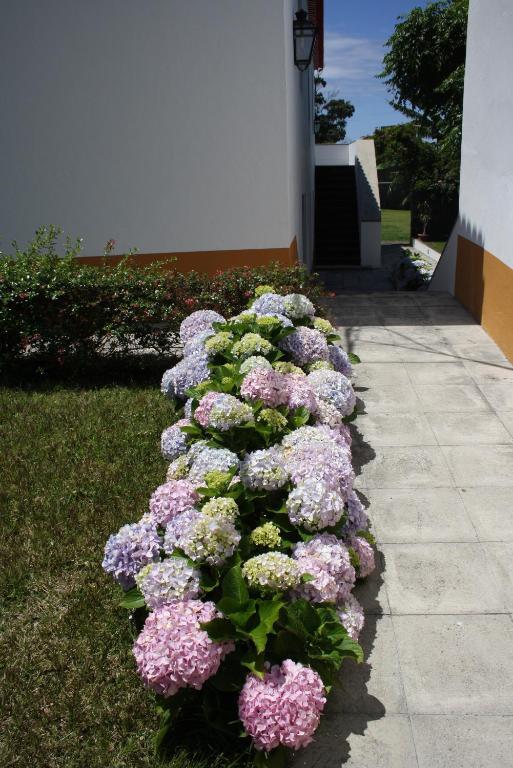 Quinta de São Caetano - São Miguel Açores Populo (Sao Miguel) Quarto foto